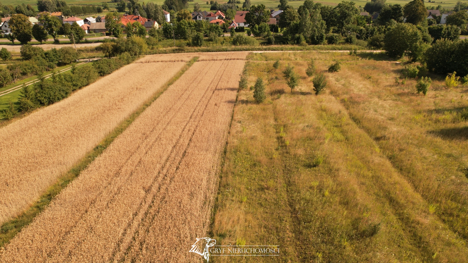 Działka Sprzedaż Fasty