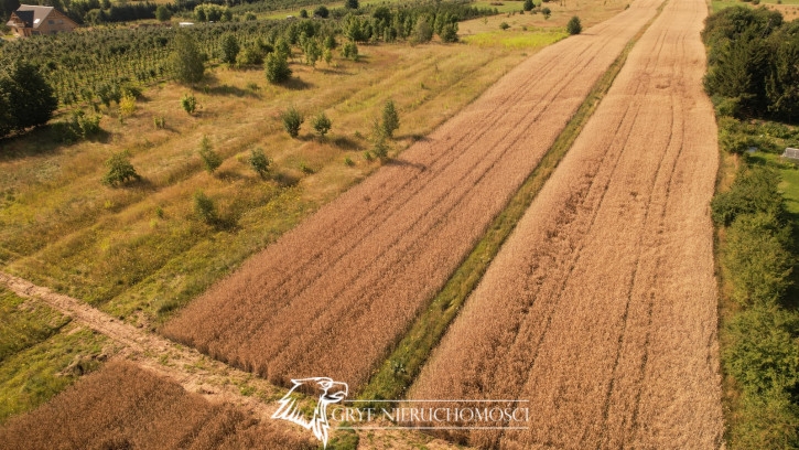 Działka Sprzedaż Fasty 9