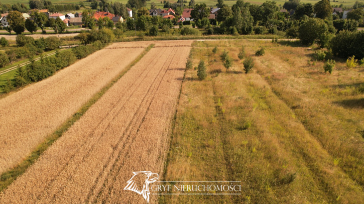 Działka Sprzedaż Fasty 10
