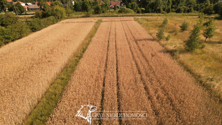 Działka Sprzedaż Fasty 12